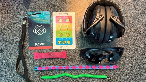 Image of lanyard, fidget toys, sunglasses, and noise-cancelling headphones